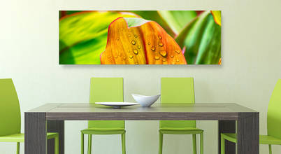 Hagen Petters - Freier Autor und Journalist