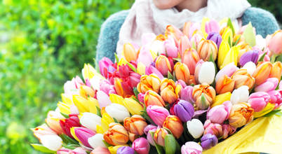 Tollwasblumenmachen.de