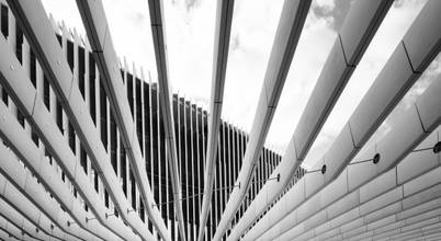 Diogo Luis Photographer