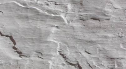 Leonor da Costa Afonso