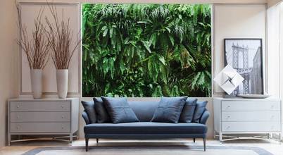 Renova Media Advising