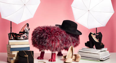 SeFa Design by nature