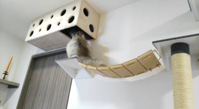 decoradores disenadores de interiores