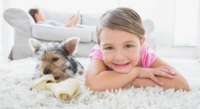 Carpet Cleaner Tallahassee