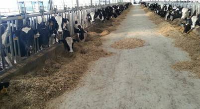 Bayraktar yapı gayrimenkul