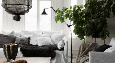 Andréa Schaefer Studio