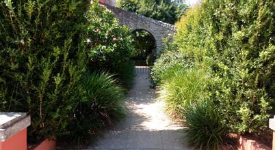 Clara Guedes - Garden Design