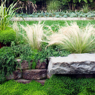 Garten Gartengestaltung Ideen Und Bilder Homify