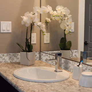 Badezimmer: Ideen, Design und Bilder | homify