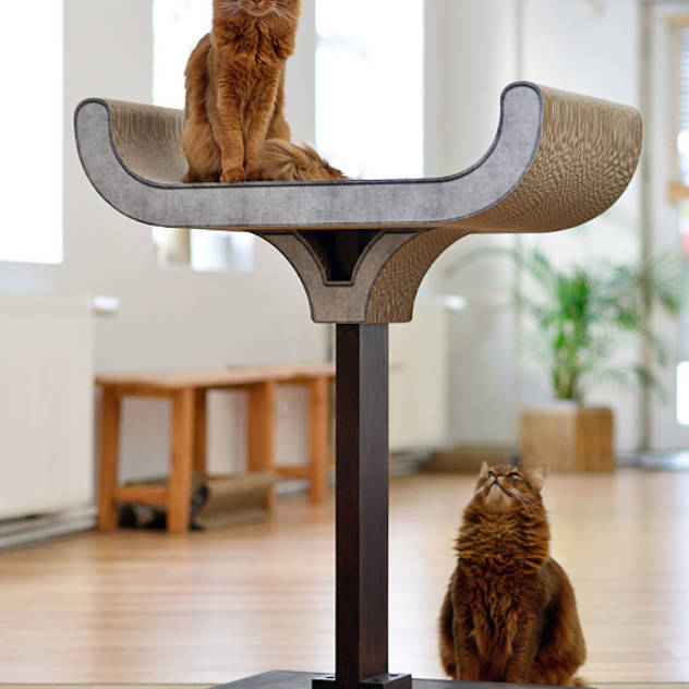 Livings de estilo ecléctico por cat-on