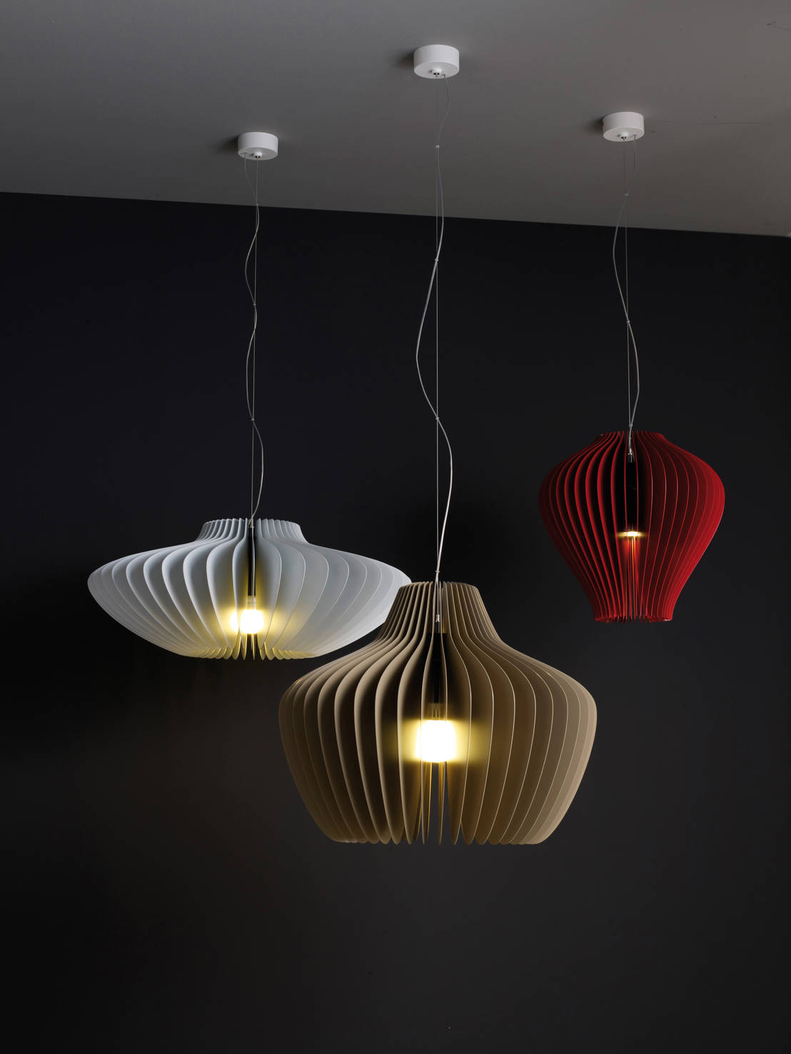 LAMELLA | homify