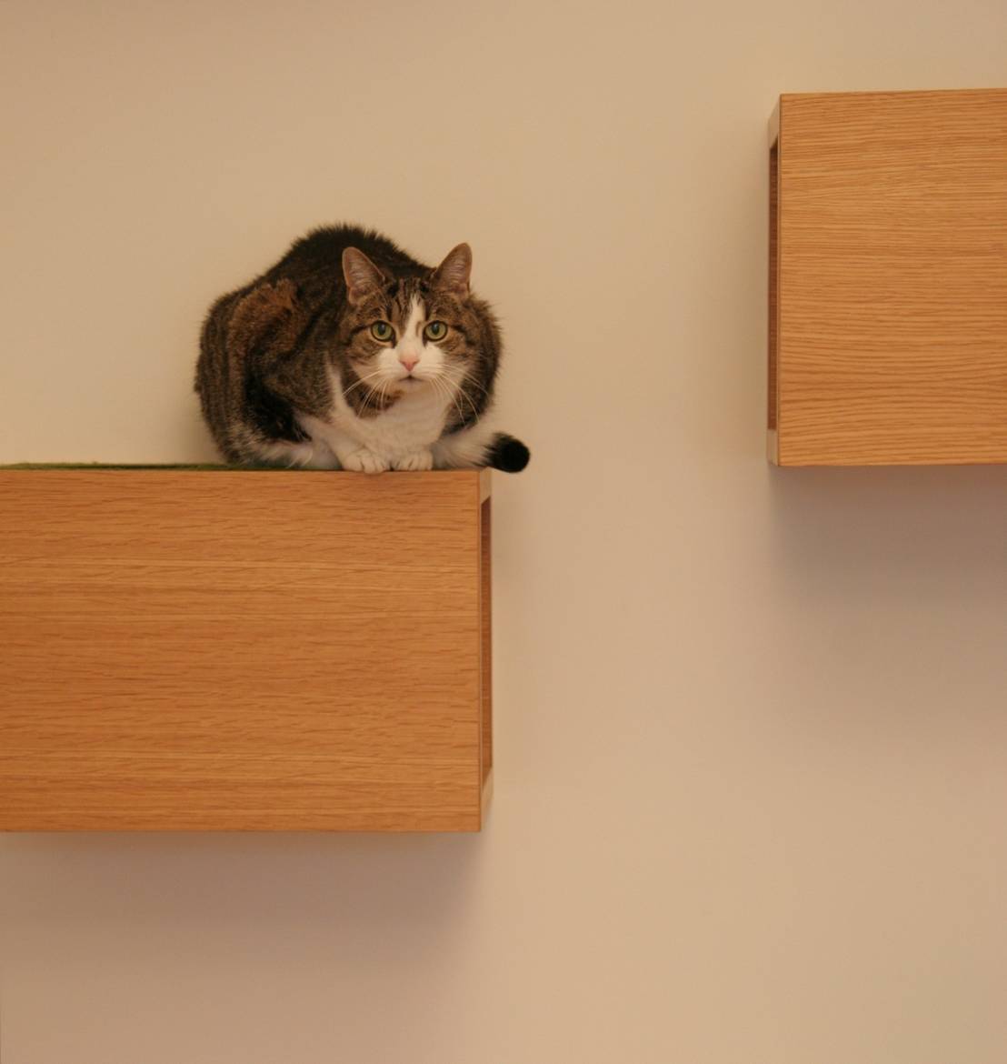 katzenmöbel von artifact hamburg - Katzenm Bel 1