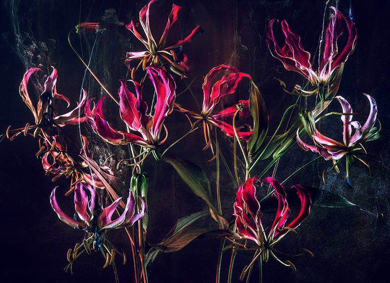 Charles Emerson Photography homify