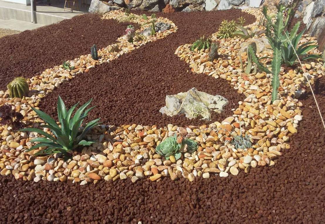 ¿Cómo crear un jardín desértico en 7 pasos?