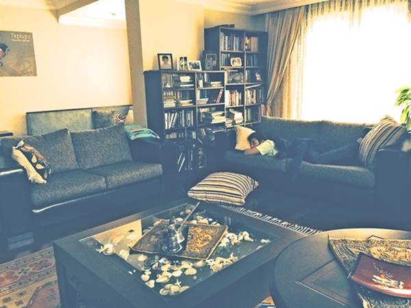 homify