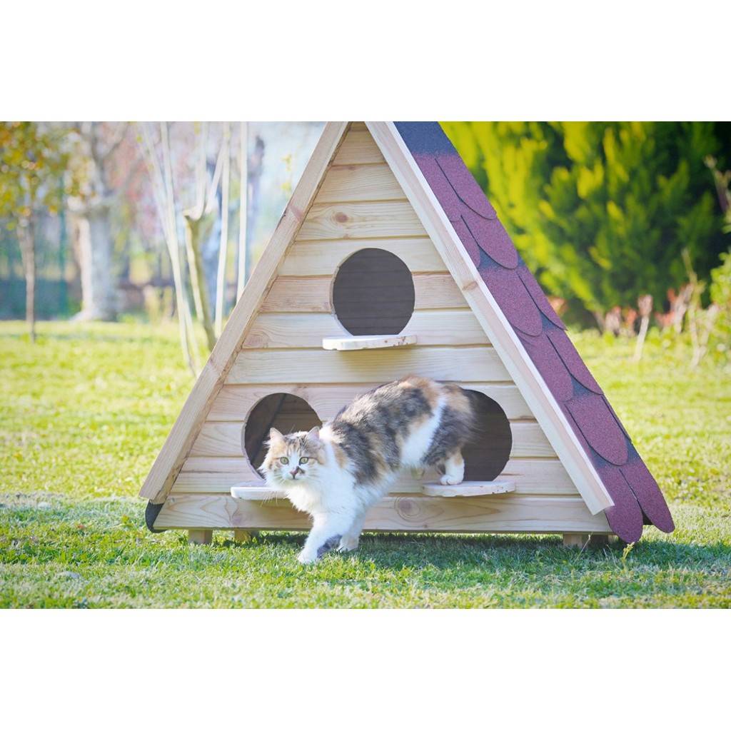 Kedi Yuvalari 2 Homify