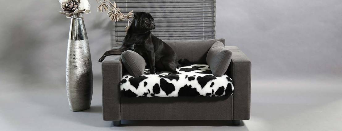 Pourquoi Choisir Un Canape Pour Votre Chien Ou Chat Homify
