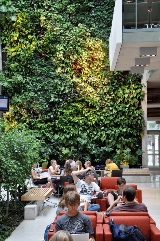 Wandgärten für drinnen und draußen | homify