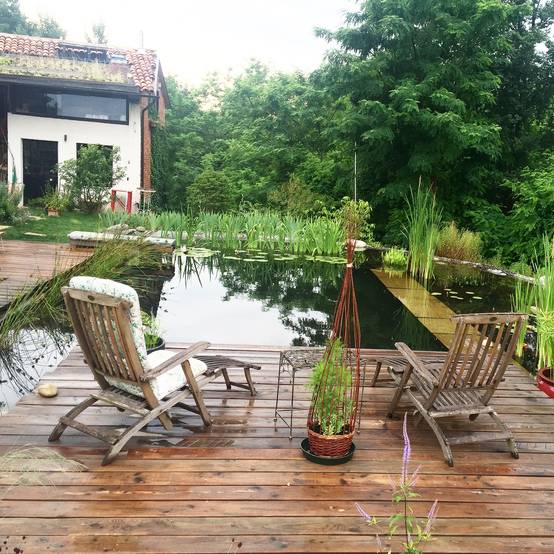 Especial Jardín: 10 hermosas formas de incorporar agua | homify