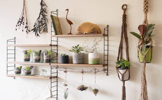 壁掛けフックでおしゃれデコレーション 호미파이 Homify