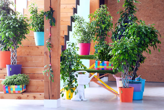 26 Tips Membuat Taman Anda Menjadi Berwarna Dan Menyegarkan Homify