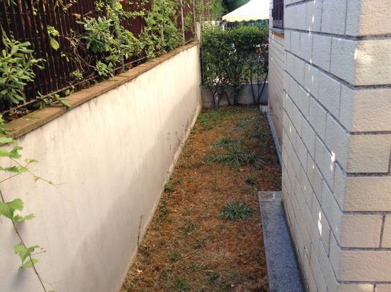 Te compartimos fotos de la transformación de un patio pequeño: | homify