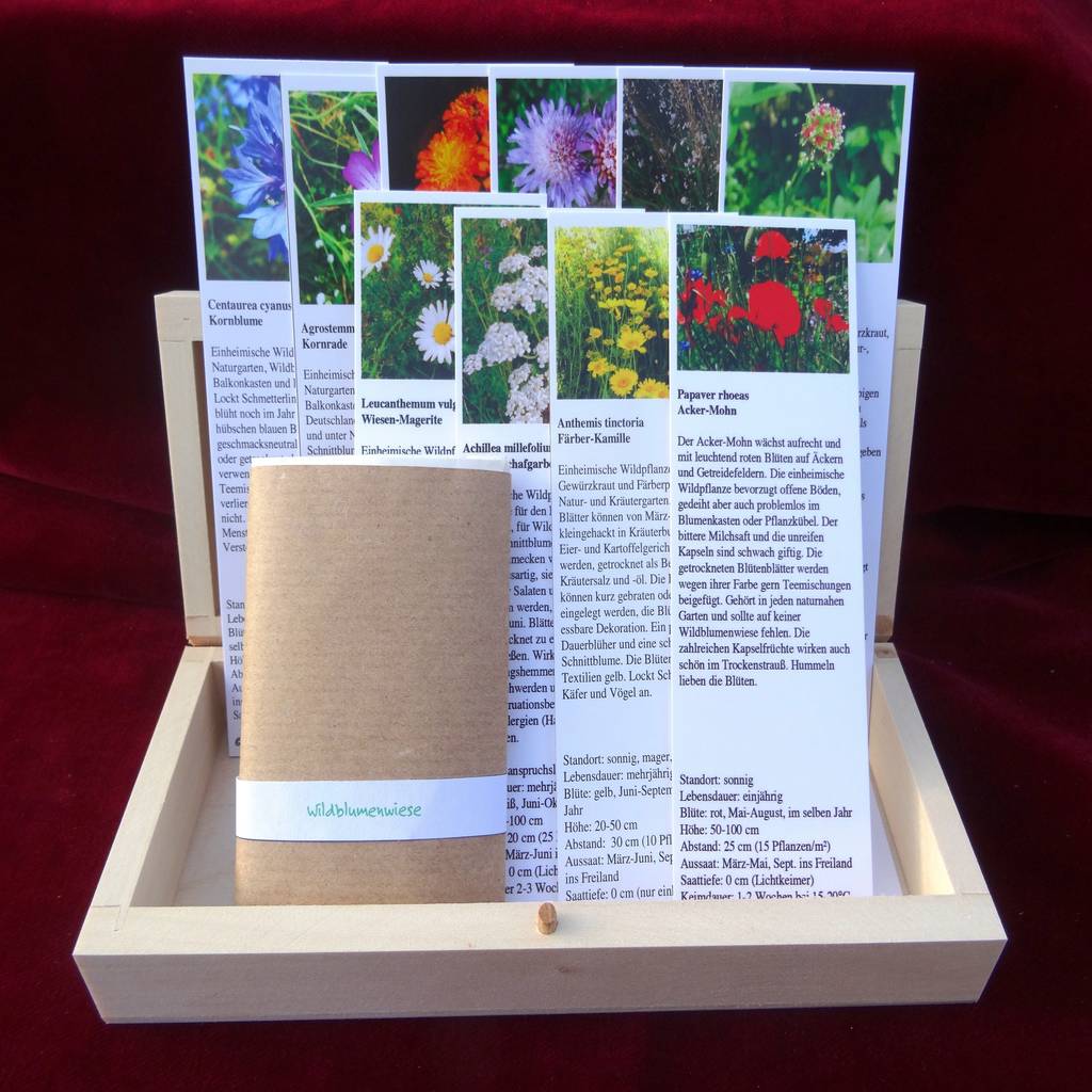 Wildblumenwiese (saatgutbox), naturgartensamen aus leipzig homify