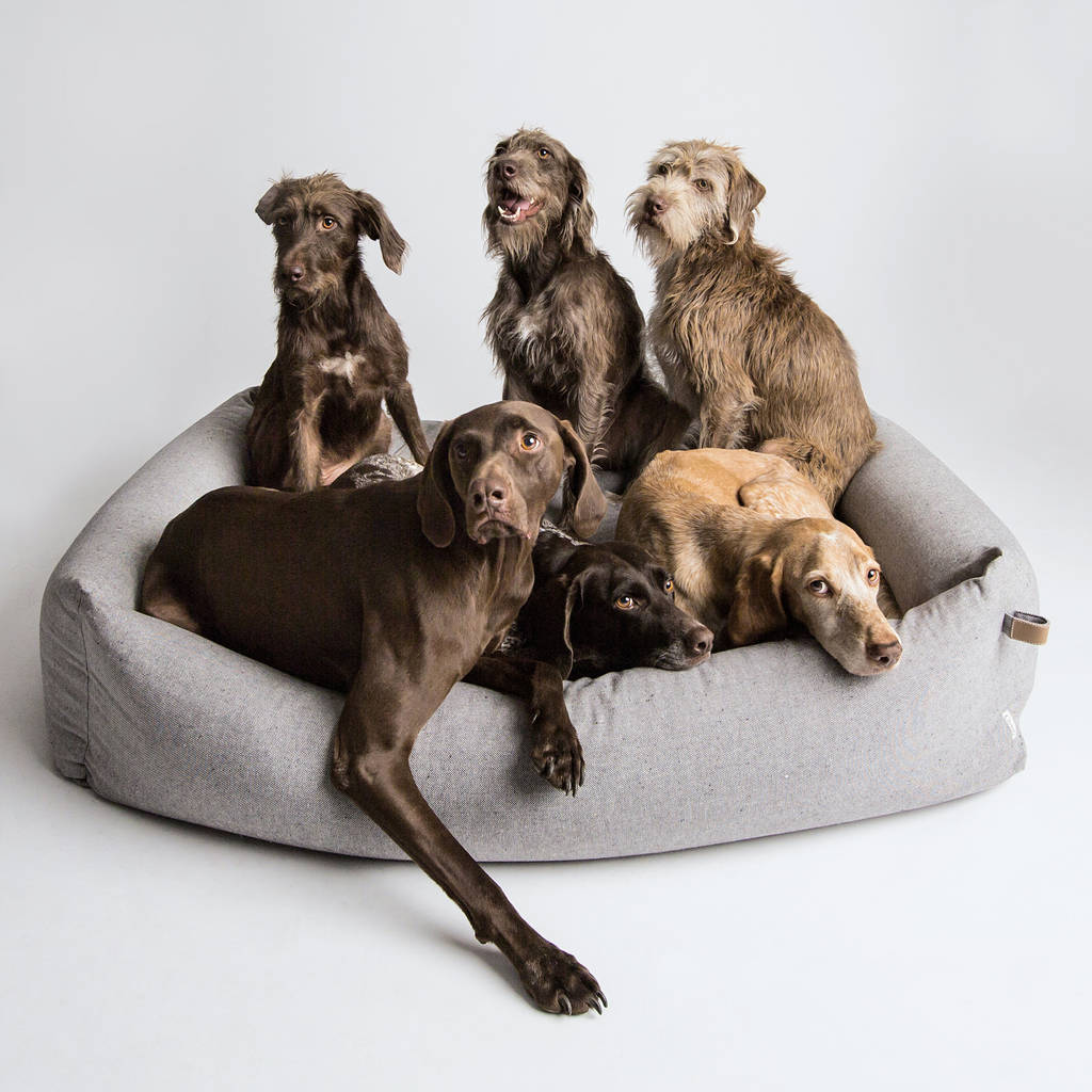 Interior dog beds cloud 7 finest interiors for dogs & dog lovers
