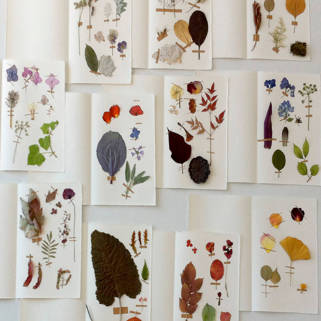 Herbarium project di azimut classico homify