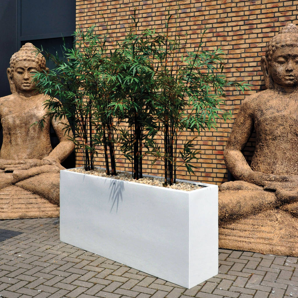 Blumentöpfe blumentopf24.de raumbegrünung homify