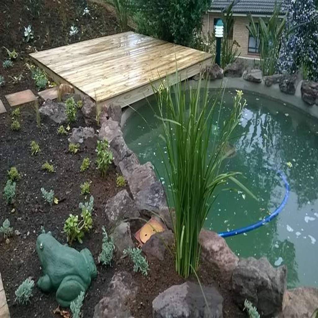 converting a pool into a pond