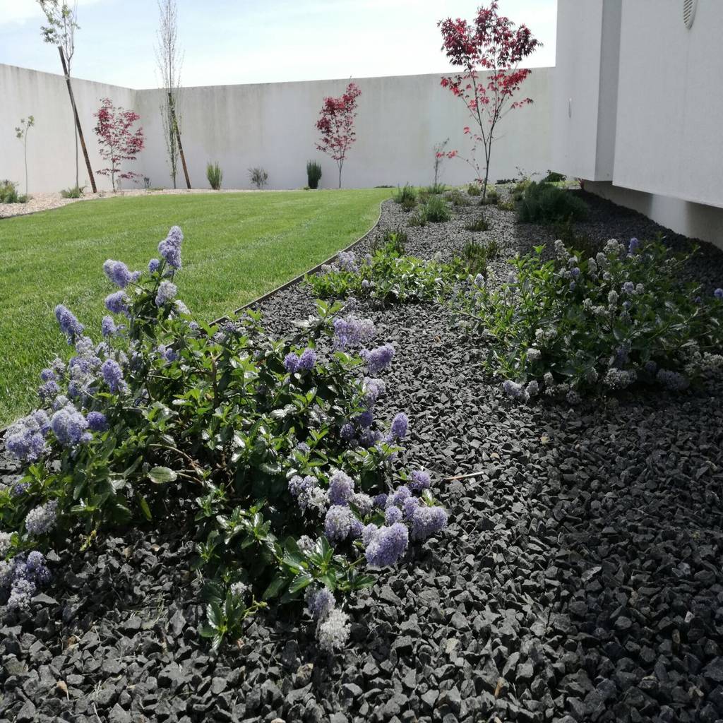Jardim privado em marinhais por opengreen | homify