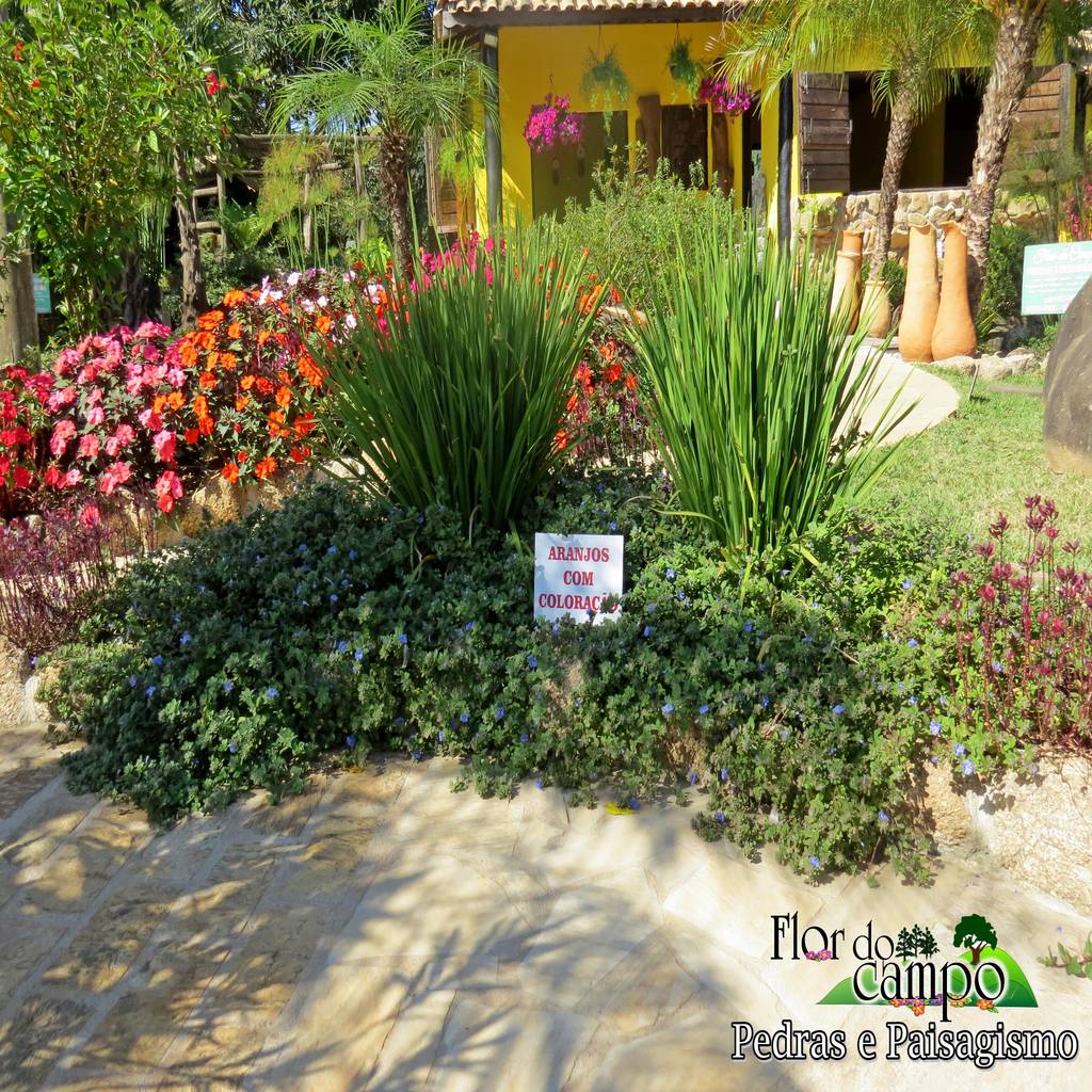Que Flores Foram Utilizadas Em Volta Da Piscina Habitissimo