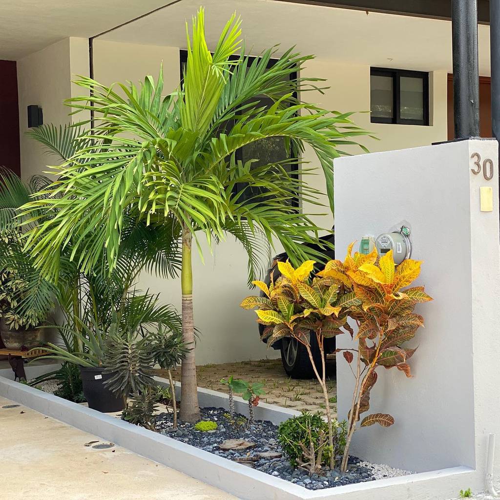 Decoración de jardín antes y después , baobab deco boutique | homify