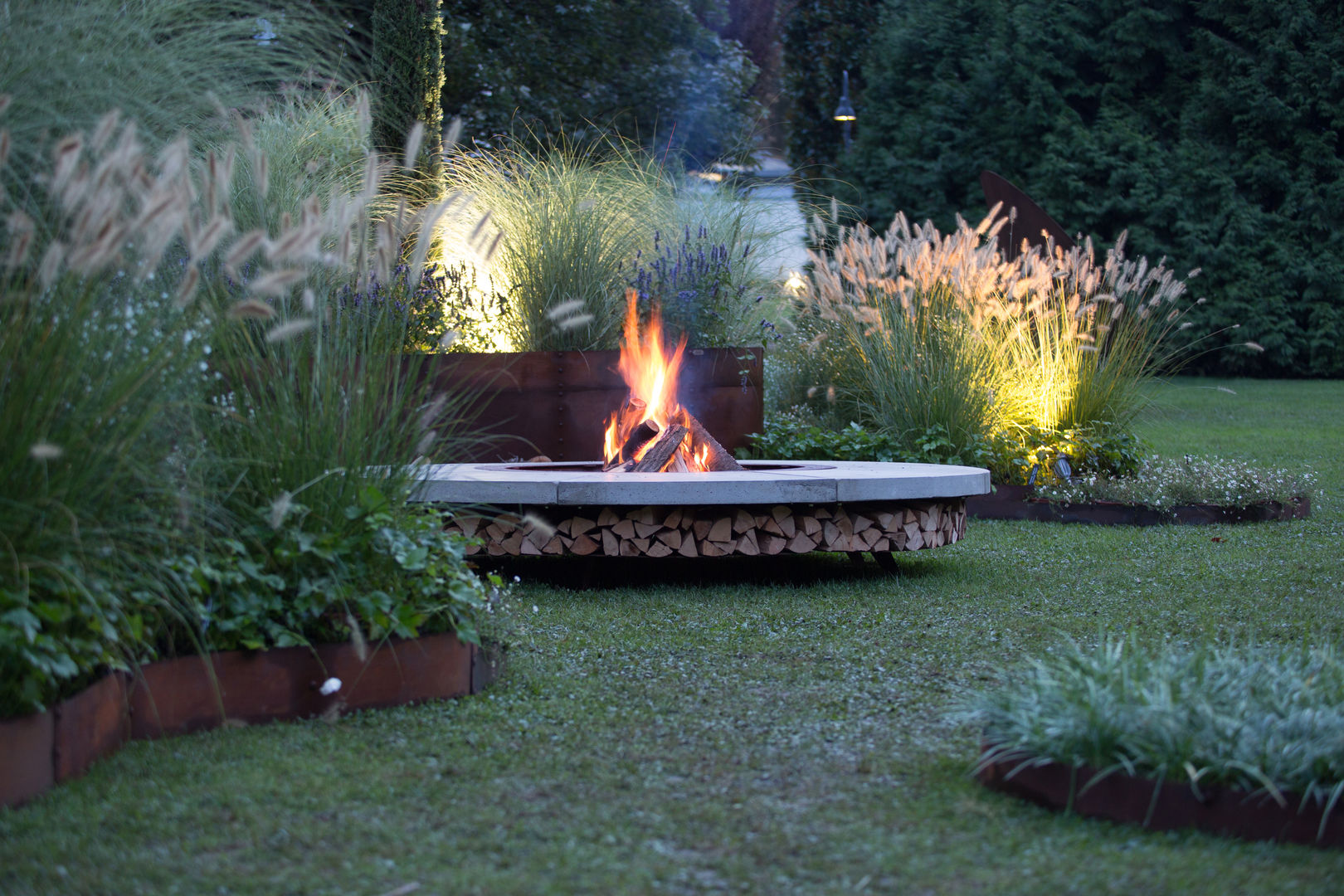 Tiger Oder Feuer Im Garten