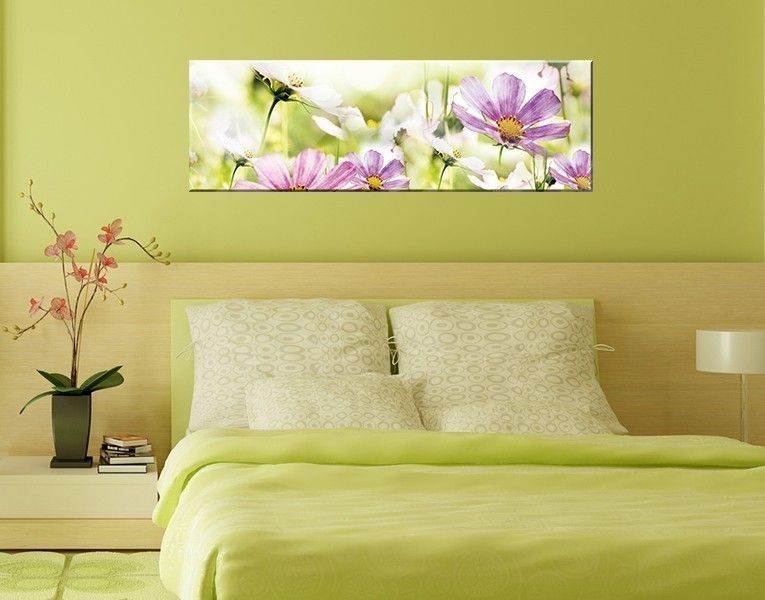 Paint colours ideas for home decor | homify