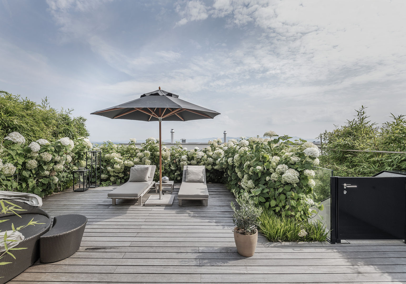 Windschutz für die Terrasse 15 inspirierende Tipps zu Pflanzen