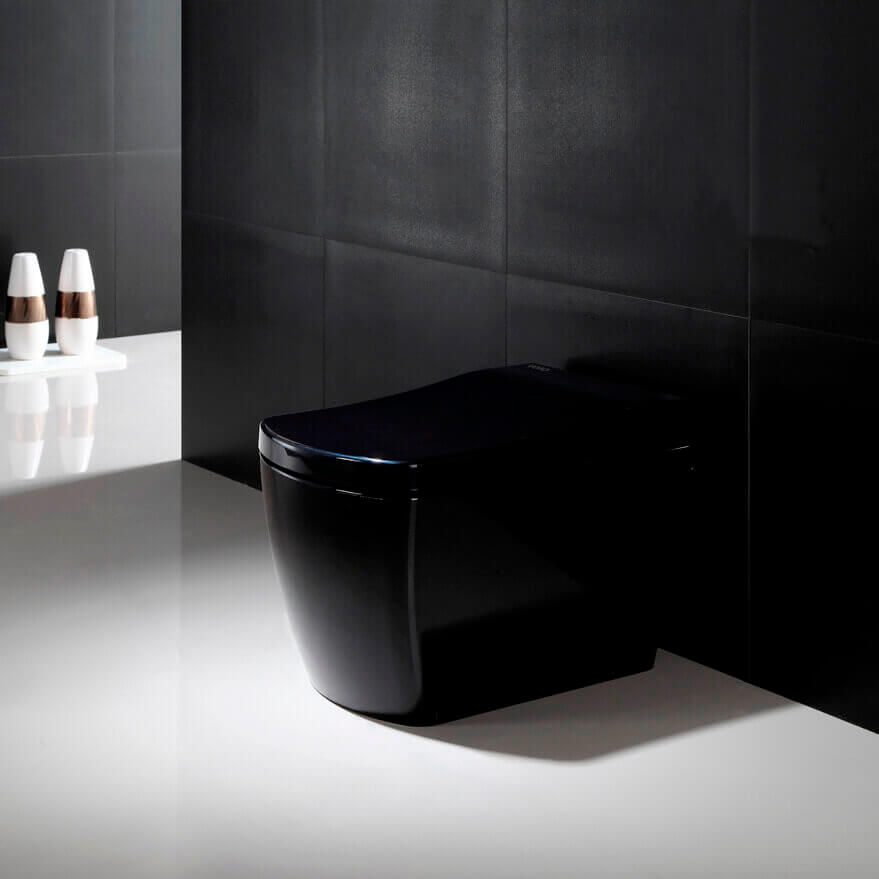 How to Choose the Right Toilet for Your Home Factors to Take into