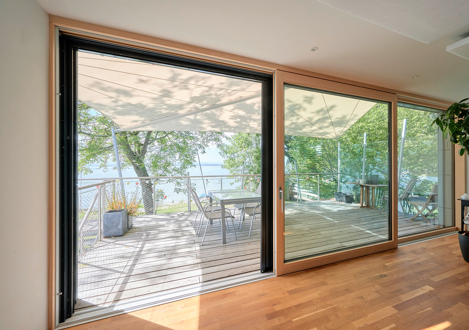 Wie kommen Spinnen ins Haus und wie verhindert man es? | homify