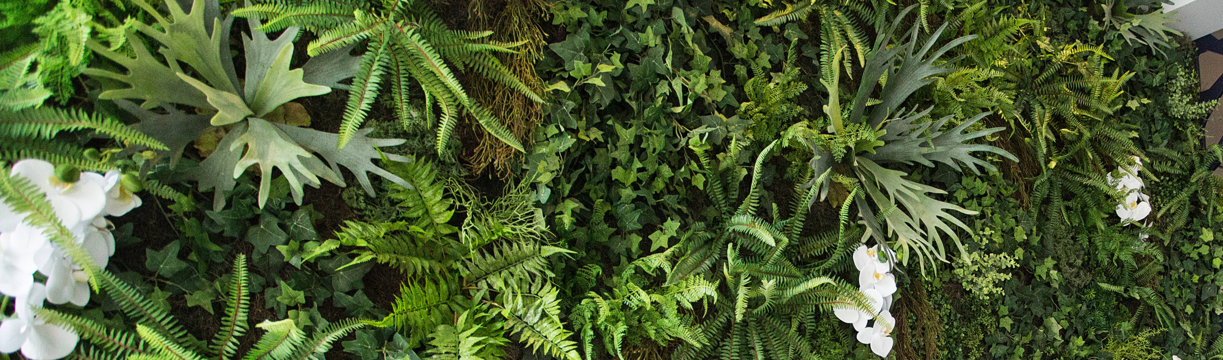 Vertical Garden—Jardim Vertical e Paisagismo Corporativo