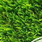 Grass Planet Avatar