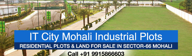 IT City Mohali Industrial Plots