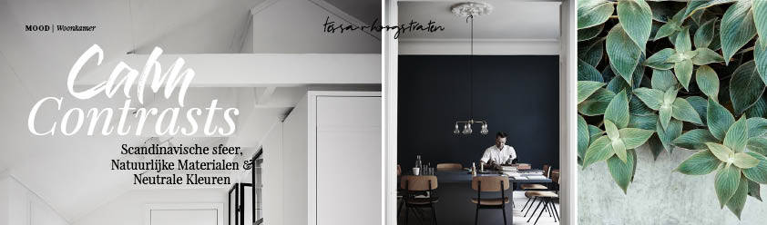 Tessa van Hoogstraten Interiors