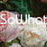 SoWhat-design Avatar