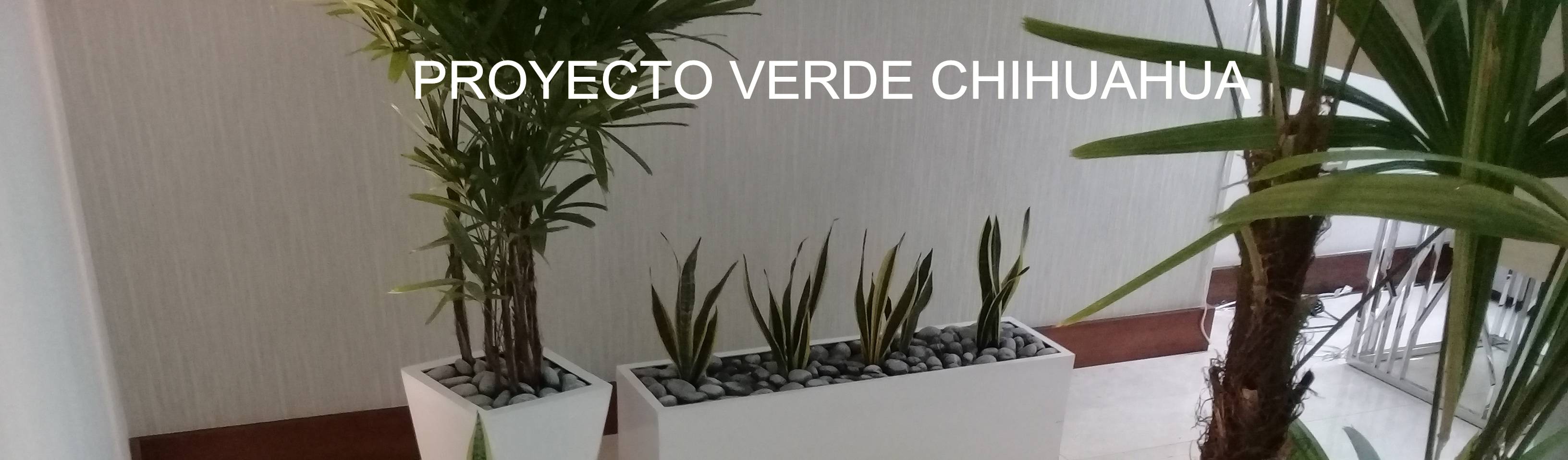 PROYECTO VERDE CHIHUAHUA