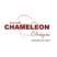 Chameleon Designs Interiors 化名