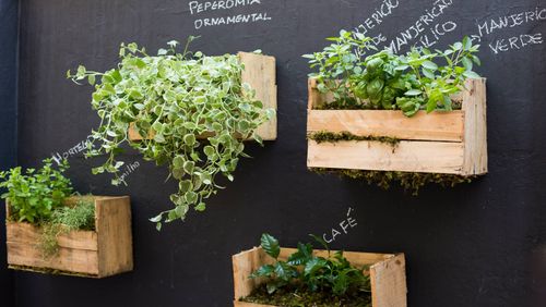 10 Spektakular Gunstige Ideen Fur Deinen Garten Homify