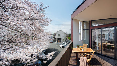 家にいながら桜が見える 春を楽しむ家5選 Homify