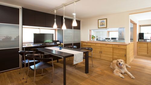 犬と仲良く暮らす家  homify