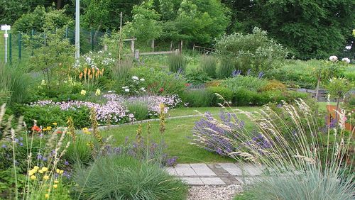 Graser Im Garten Ein Uberblick Uber Arten Pflege Und Gestaltung